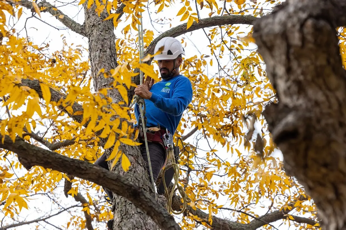 Skilled Storm Damage Cleanup crew working in Sawyerville